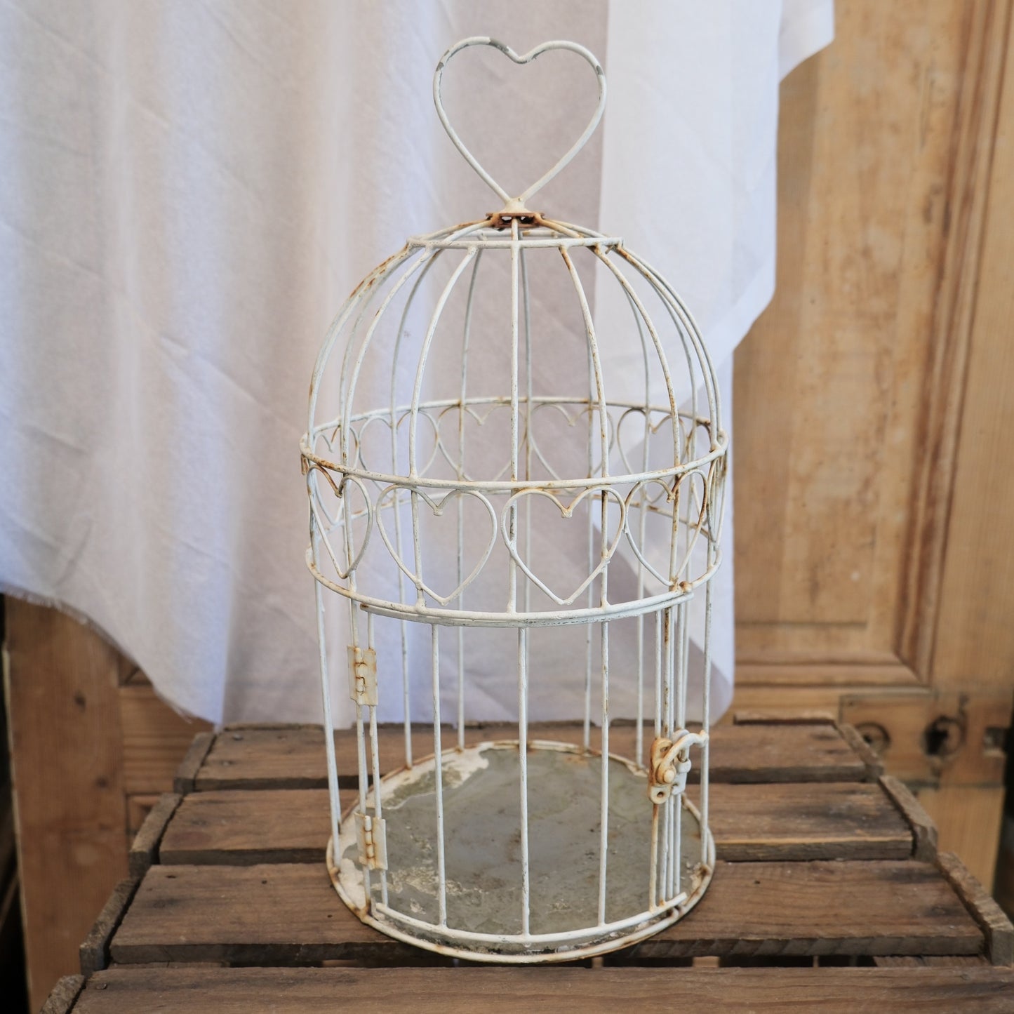 cage à oiseaux blanche