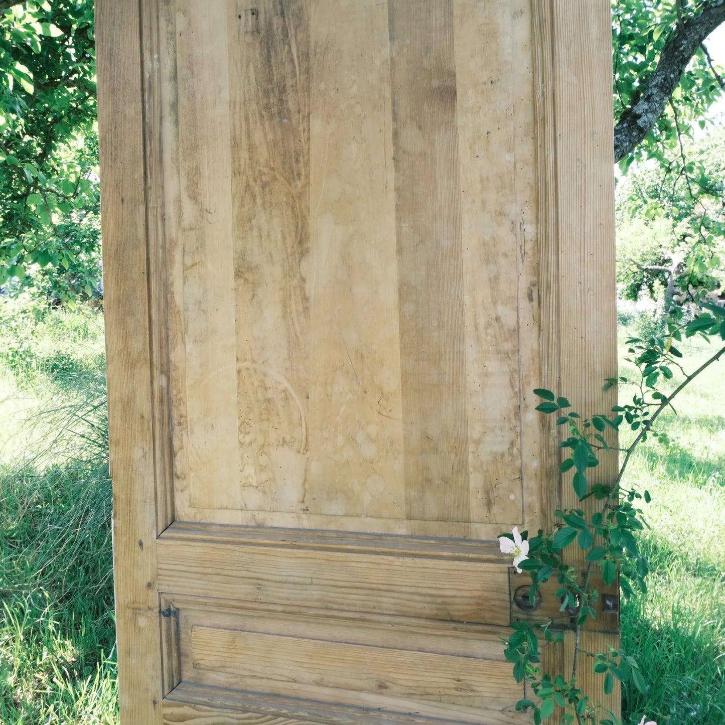 porte ancienne pour décor champêtre