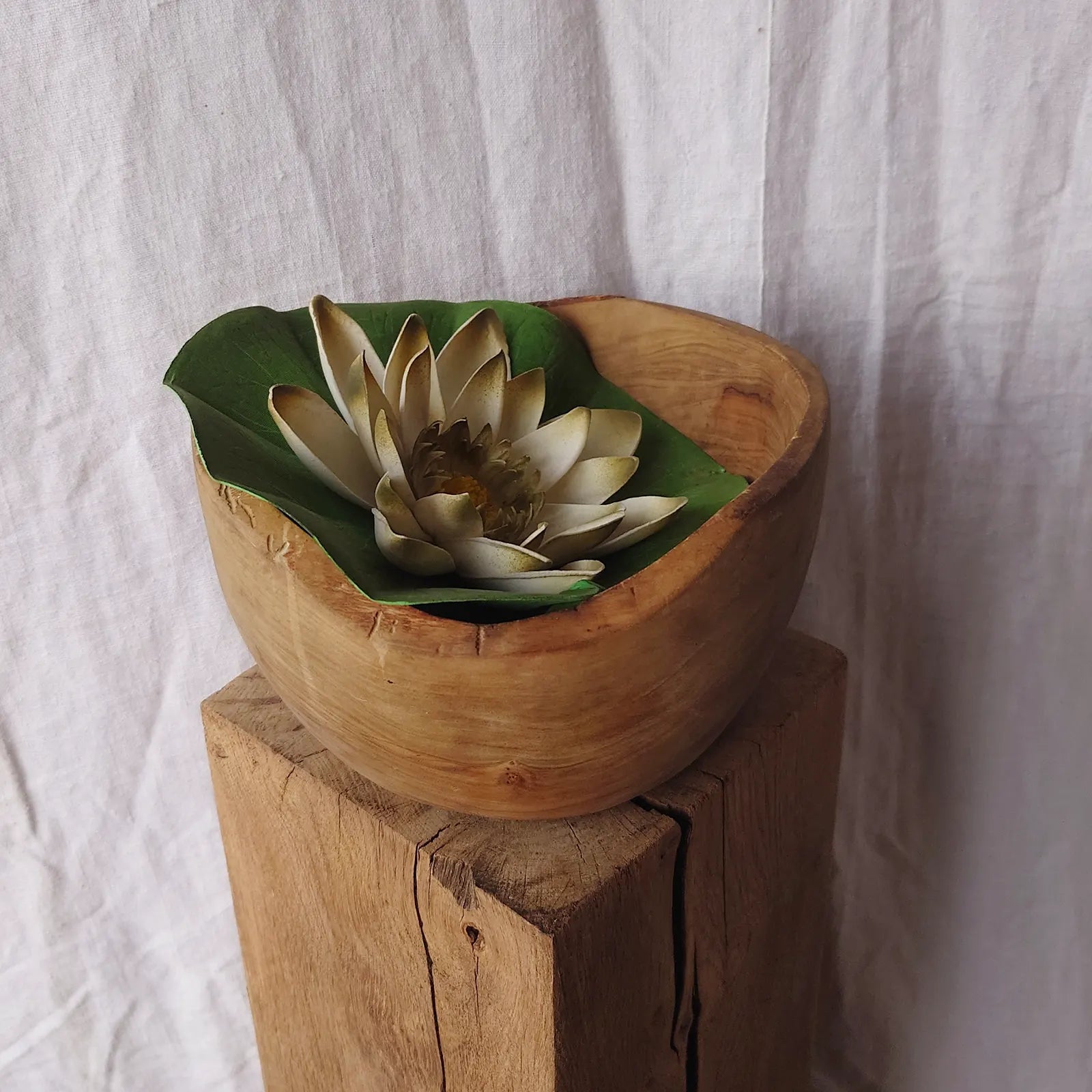 Lotus dans bol en bois décoration exotique