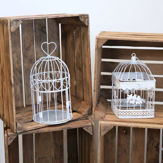 Cages à oiseaux