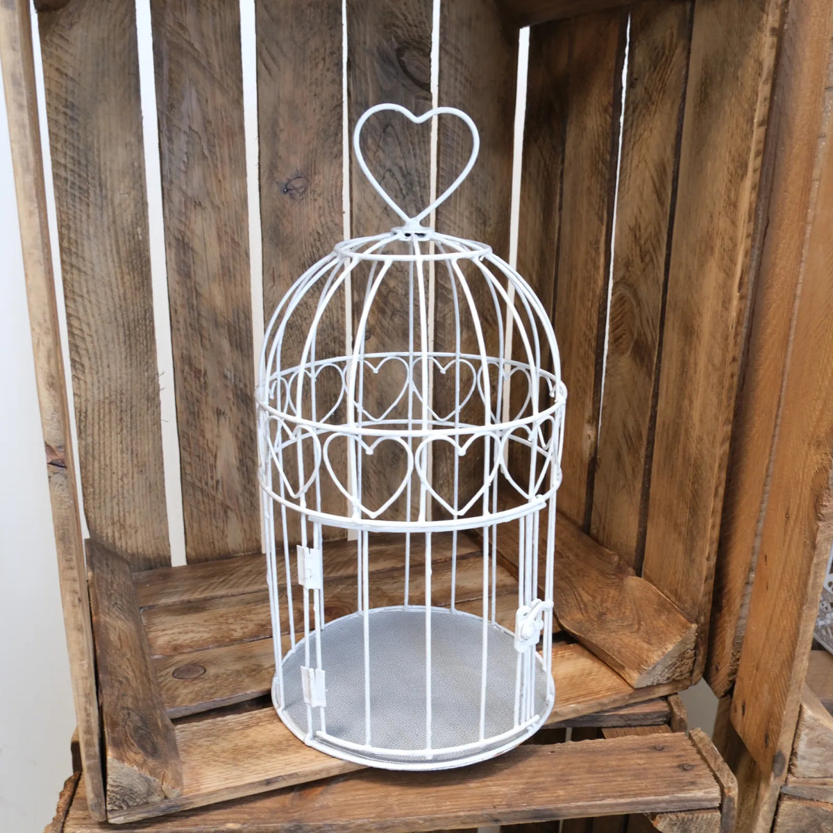 Cages à oiseaux