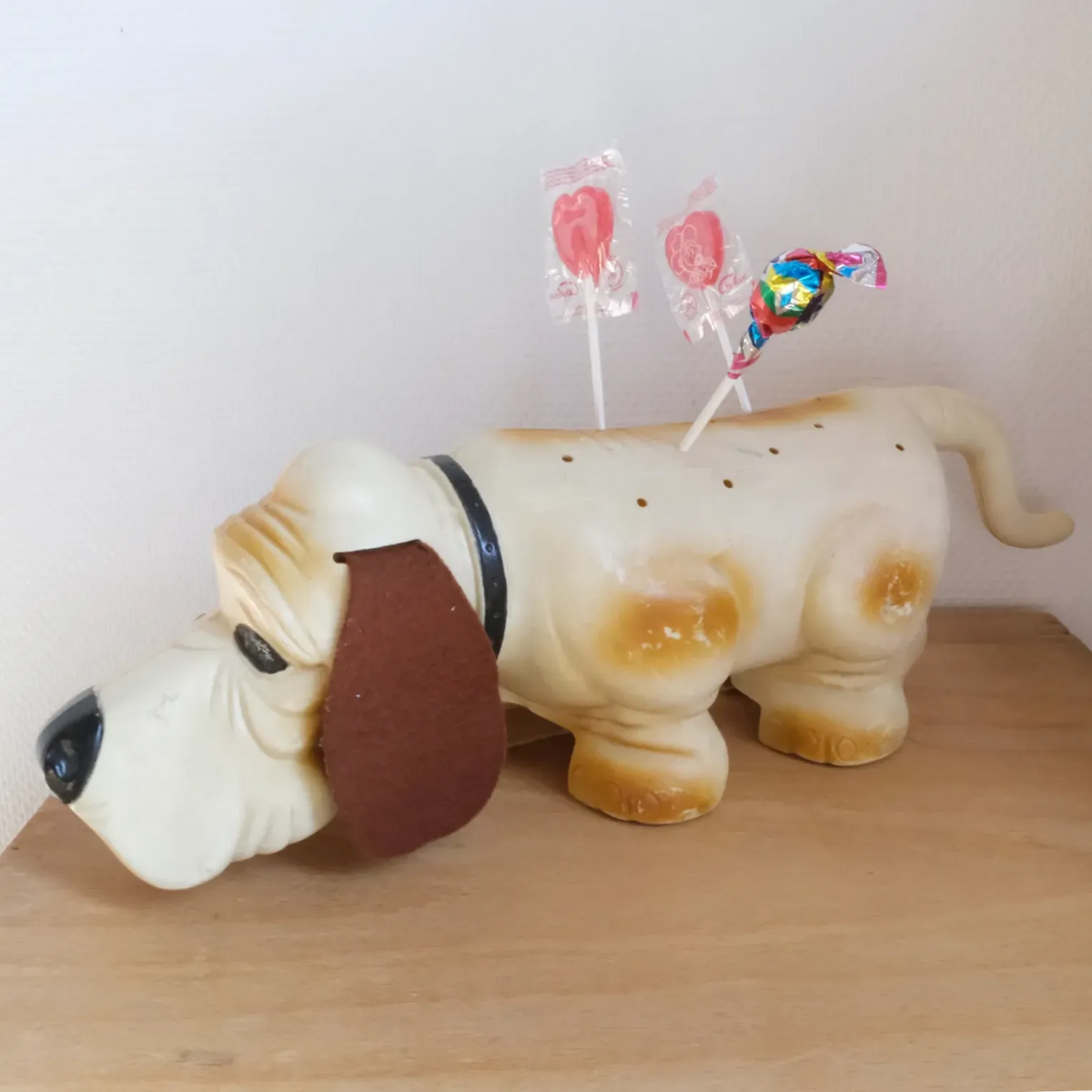 Chien porte sucettes