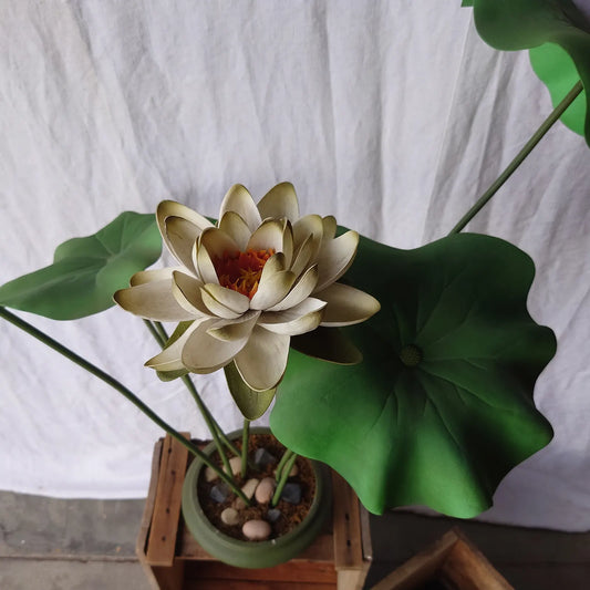 Détail lotus blanc avec feuille