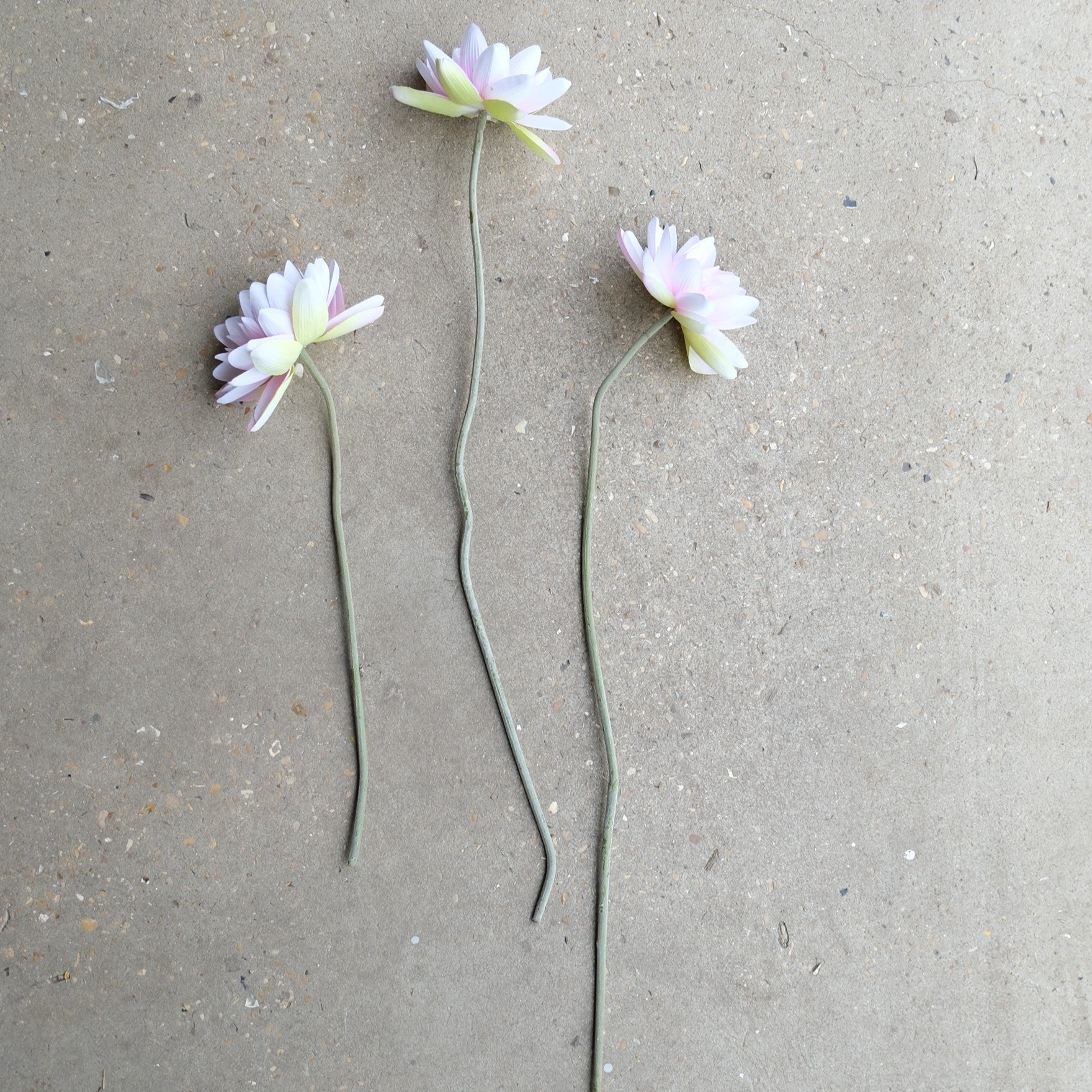 Fausses fleurs avec longues tiges