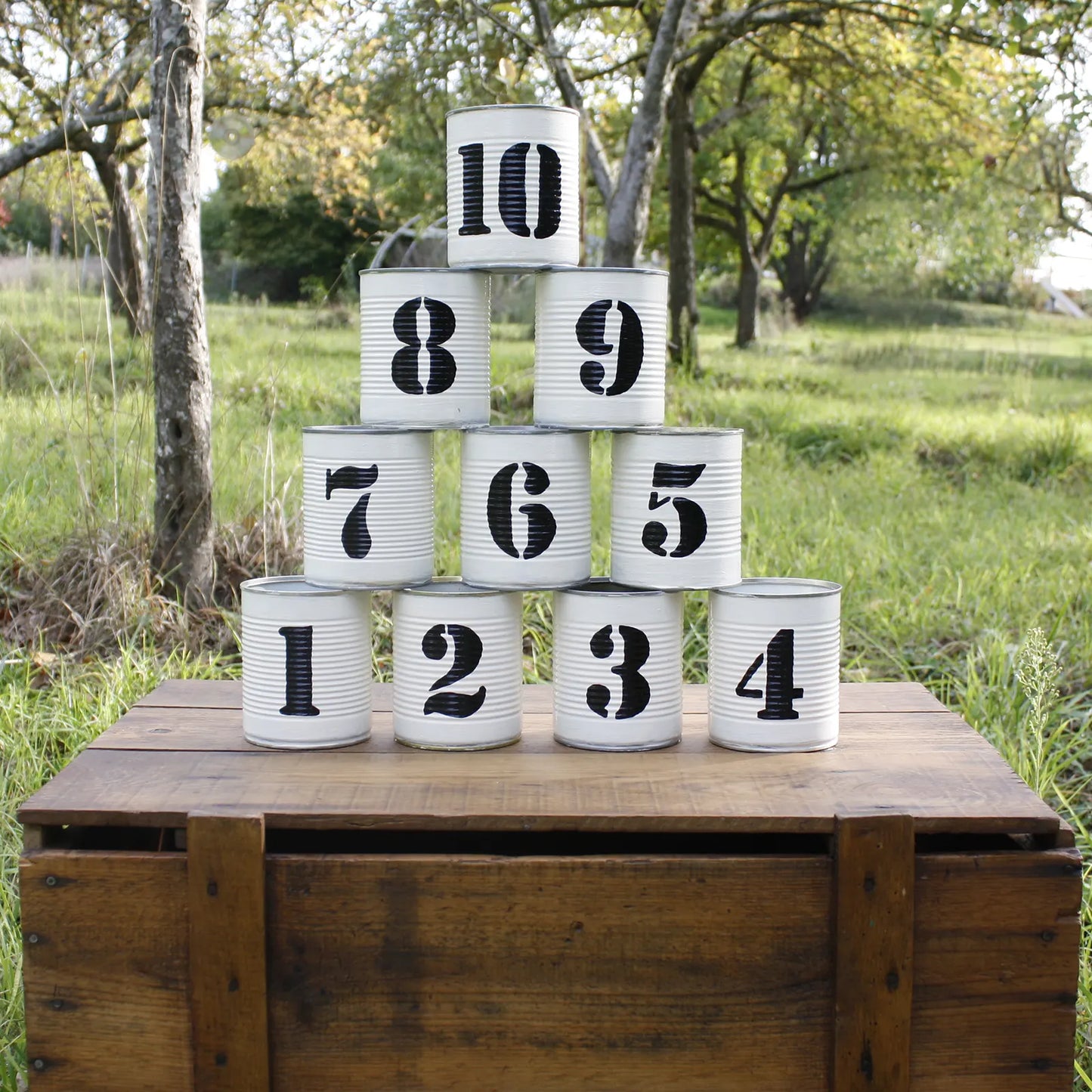 jeu du chamboule tout avec boîtes à conserves peintes
