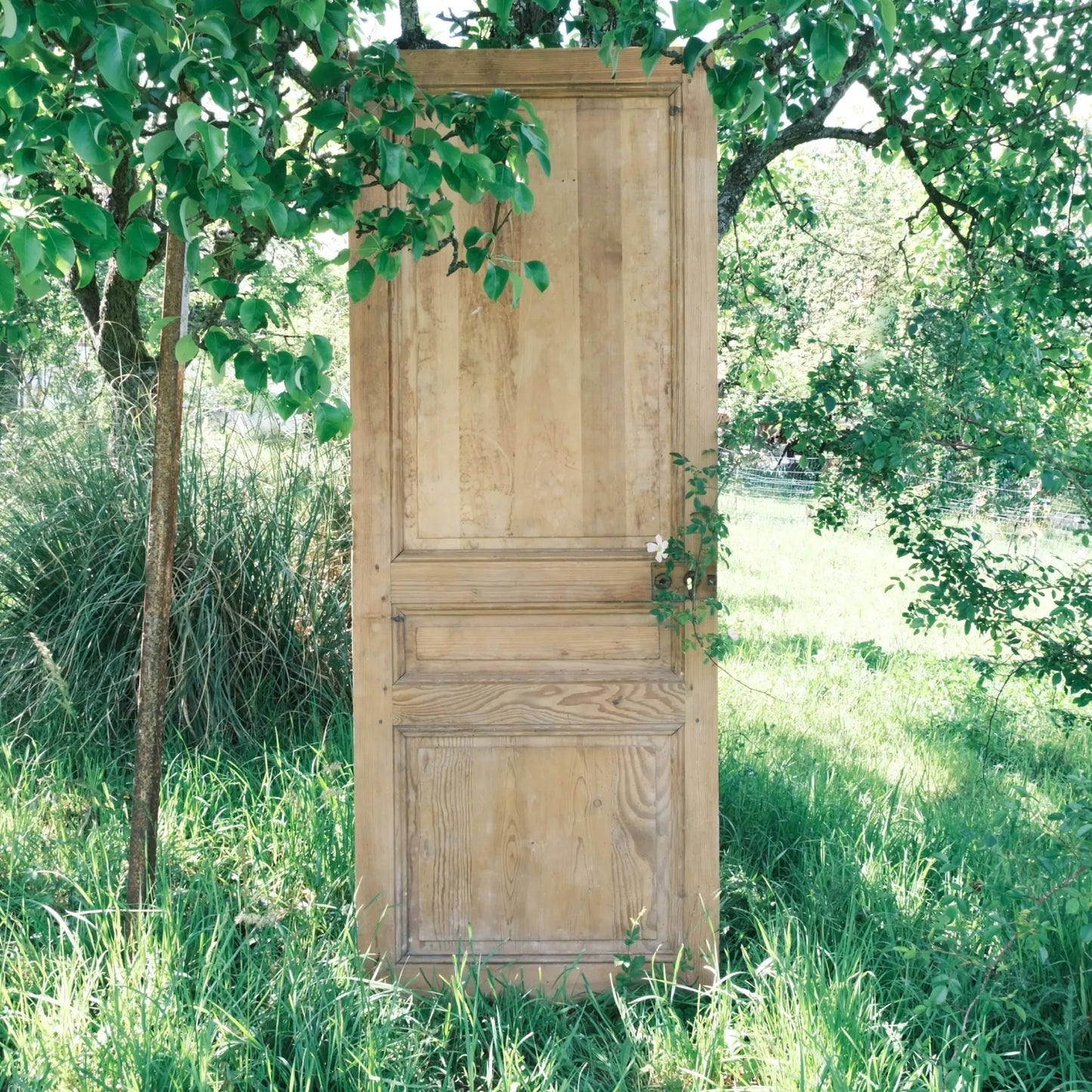 porte en bois ancienne stickage panneau Bienvenue