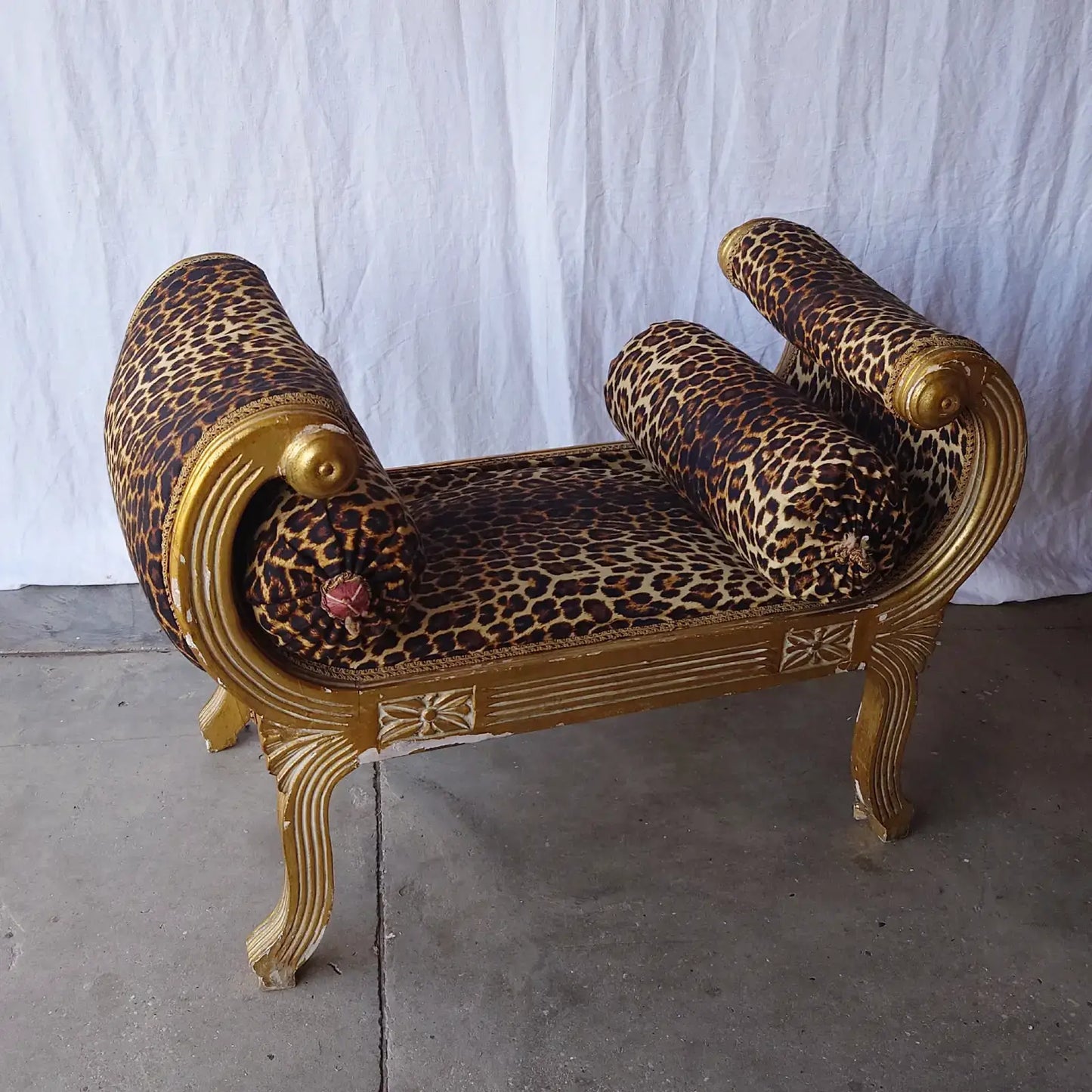 Assise leopard