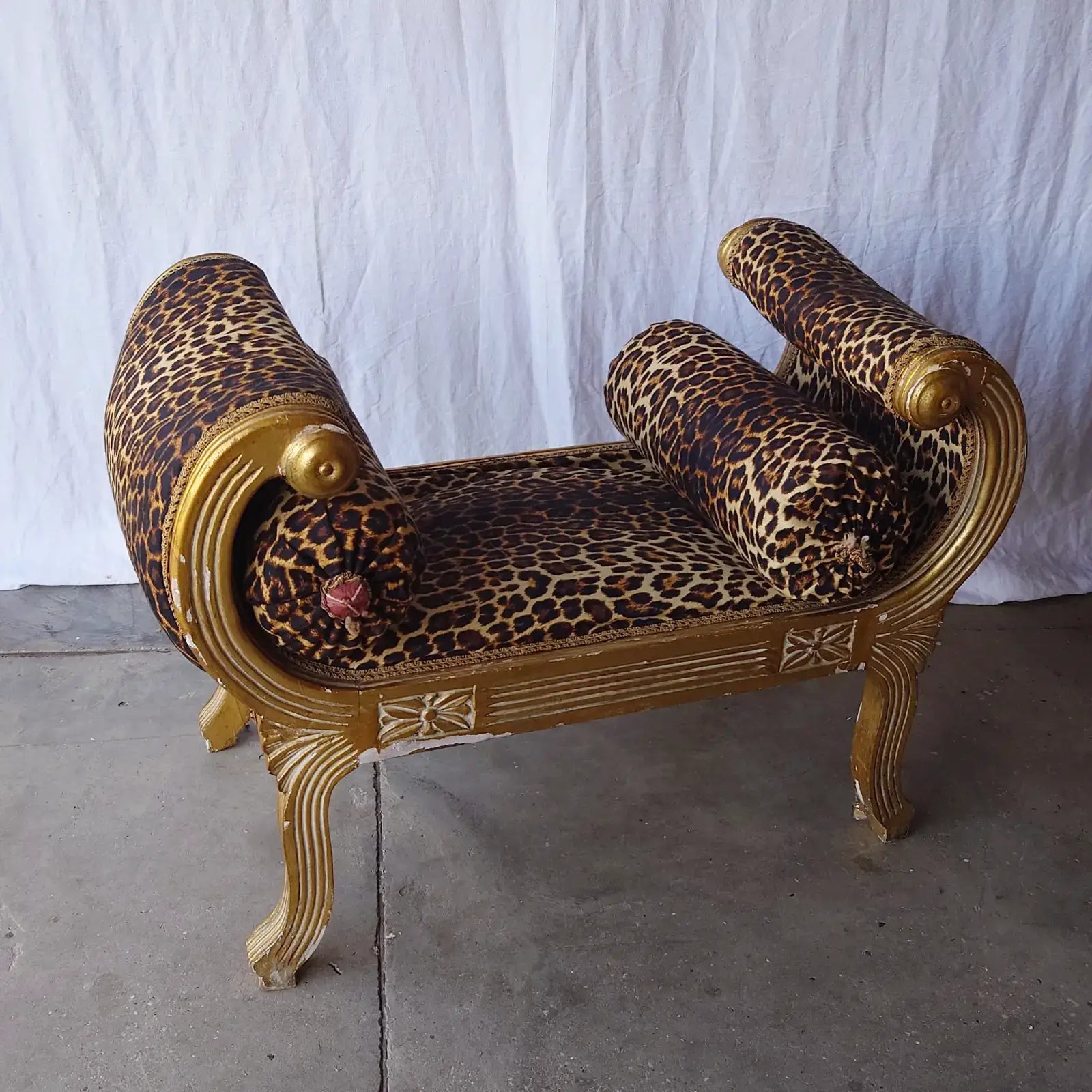 Assise leopard