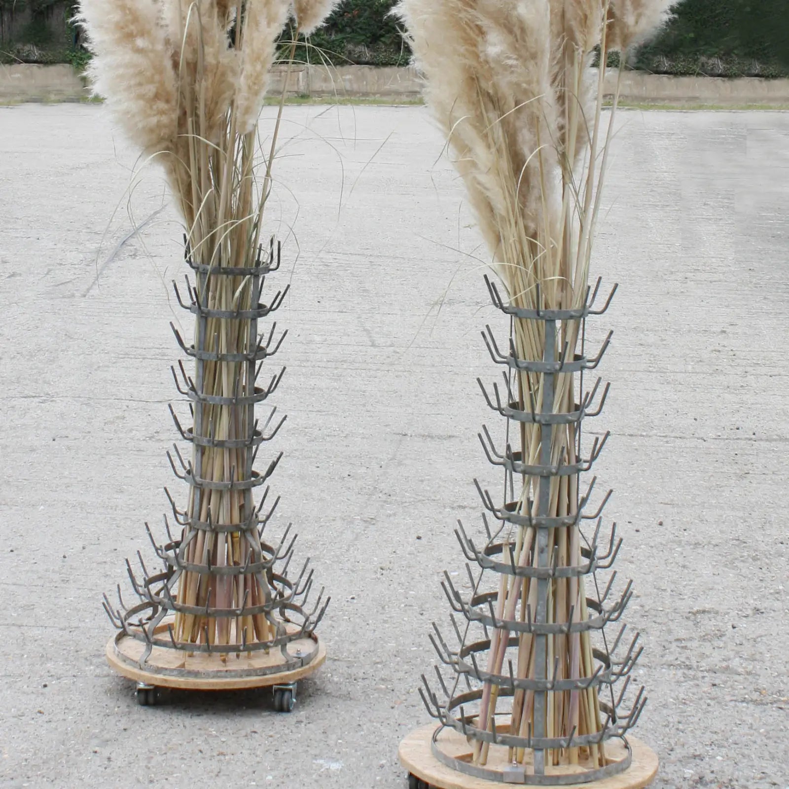 Égouttoir à bouteilles ancien avec pampas